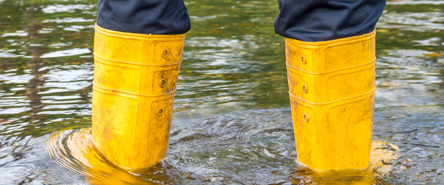 De plus en plus de dégâts d’eau