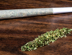 Cannabis et assurance habitation